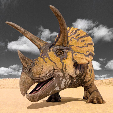 triceratops id profile picture