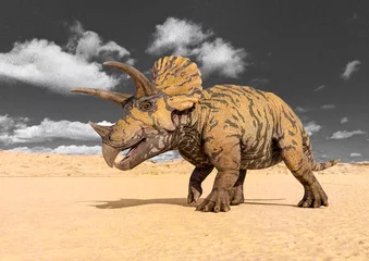 Door stickers Dinosaurs triceratops is walking
