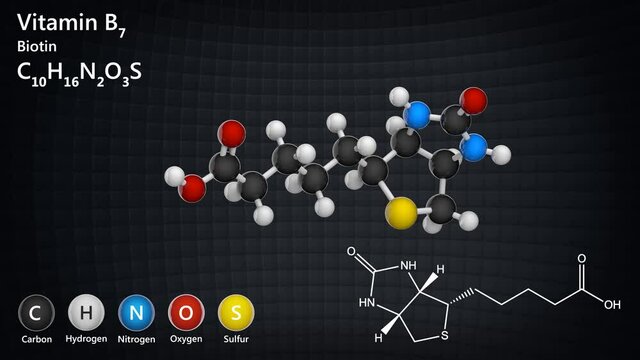 Molecular structure of Vitamin B7 (biotin). Also known as Vitamin H. 3D render. Seamless loop. Chemical structure model: Ball and Stick.