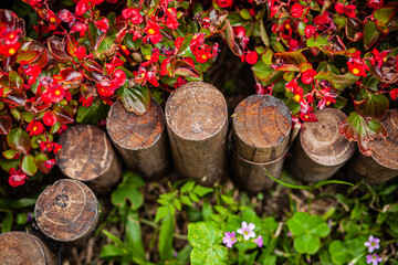 beautiful arranged garden flower bed with small fence