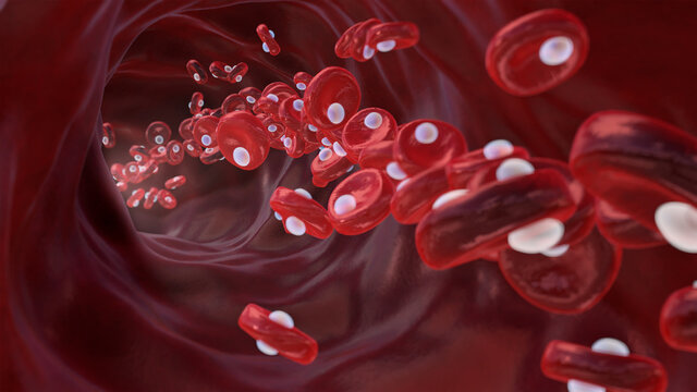 Red blood cells with oxygen molecules, oxygen rich blood, erythrocytes in an artery, 3d illustration