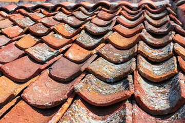 Fototapeta premium Inverted, upside down terracotta roof tiles covered with lichen and moss