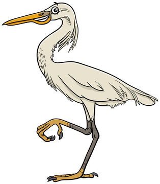recommend clip art: cartoon egret bird comic animal character