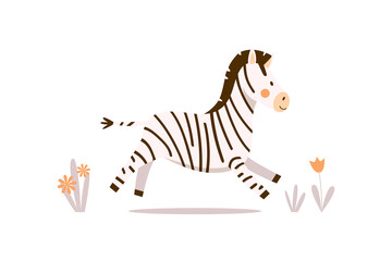 A small zebra in a cute black stripe runs along the road with flowers. Vector flat cartoon illustration with happy kawaii african baby zebra on white background for prints, stickers, cards and textile