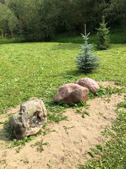 Obraz premium stones on the grass