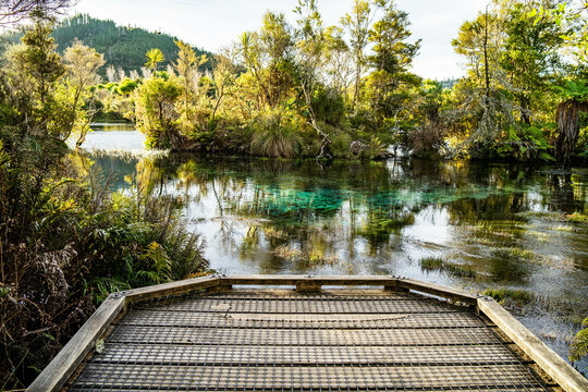 The stunning pupu springs in new zealand