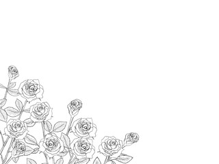 バラの畑の背景_線画