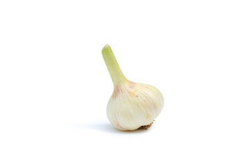 Fresh Garlic bulb isolated on white background