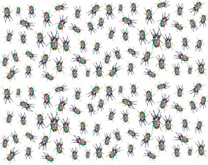 
insects bugs, patterns
