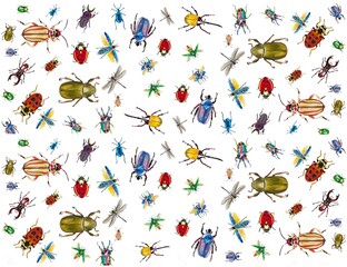 
insects bugs, patterns
