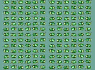 
insects bugs, patterns