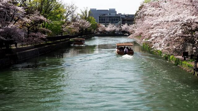Kyoto,Japan-April 1, 2021: Okazaki Jikkokubune Boat Ride during cherry blossoms viewing season
