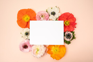 Poppies and ranunculus floral flat lay with blank stationery card on blush background