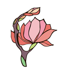 Isolated magnolia flower with buds color vector