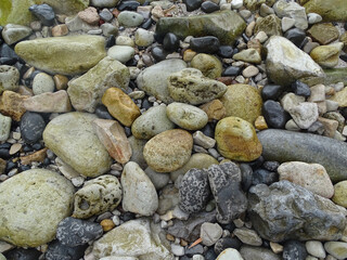 Smooth rocks strewn about the shoreline on a rugged beach.