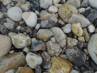 Smooth rocks strewn about the shoreline on a rugged beach.