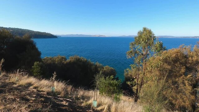 beautiful Tasmanian landscape with ocean view and thick vegetation shot from the Boronia walk in South Hobart