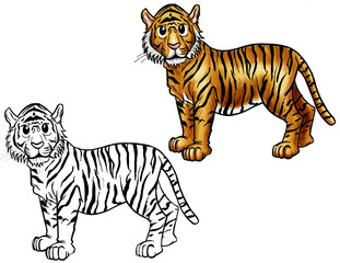 Cheetah cartoon line and color