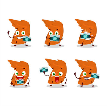 Photographer profession emoticon with chicken wings cartoon character