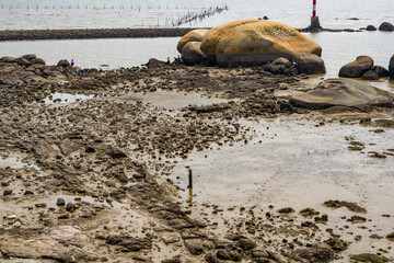 Crushed stones and huge rocks on the beach