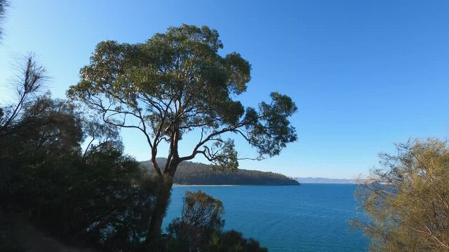 beautiful Tasmanian landscape with ocean view and thick vegetation shot from the Boronia walk in South Hobart
