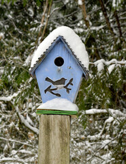 Bird house shelter during a snow storm.