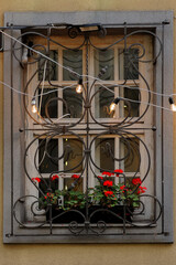 Window sill with grating, bulbs and geranium in Lviv Ukraine