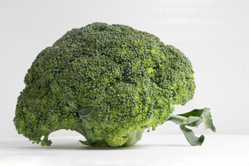 Fresh broccoli on white background.