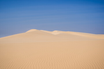 Desert - Global Warming. Huge dunes of the desert. Fine place for photographers and travelers. Beautiful structures of sandy barkhans
