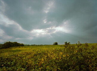 Sun Rays, 1984. Sun rays beaming through an opening in dark clouds above a colorful pasture and abandoned farm house. Missouri, USA, 1984