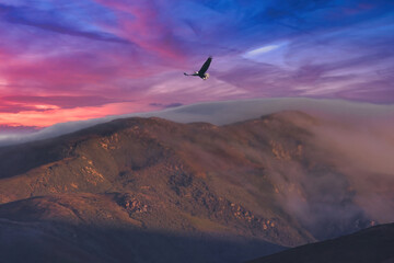 Jalama county park at sunrise in the spring