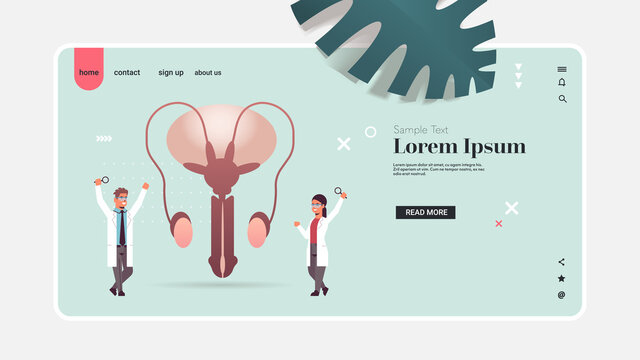 doctors couple examining male reproductive system medical consultation human internal organ inspection examination treatment concept horizontal copy space full length