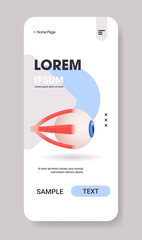 human eye icon internal organ structure detailed eyeball medical healthcare anatomy concept smartphone screen mobile app vertical copy space flat