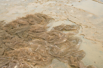 Close-up of fishing nets used by fishermen by the sea