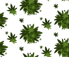 medical cannabis or marijuana leaves background hemp legalize drug consumption concept
