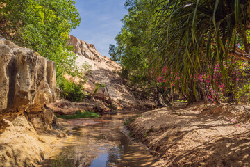 Fairy stream among the red dunes, Muine, Vietnam