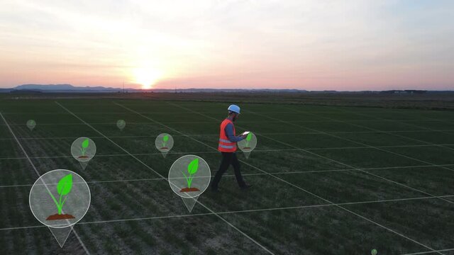 Ecological engineer technology concept, digitalisation checking agriculture crop