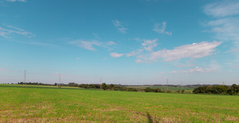 Obraz premium field and sky