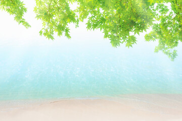 初夏の新緑と砂浜