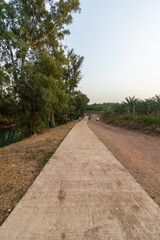 Fototapeta na wymiar A paved path near dense eucalyptus trees, on the banks of the Yardenit River