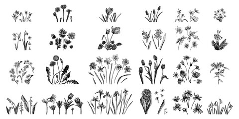 Set of vector illustrations of spring flowers drawn with a black line on a white background.