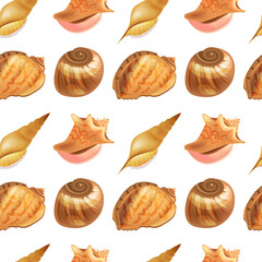 Seamless pattern with marine shells. Endless texture for your design. Illustration can be used for interior decoration.