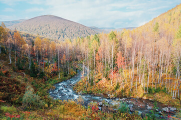 Mountain river among taiga stones and mountainous colors of autumn different trees in the mountains of Khakassia on Ivanovskie lakes