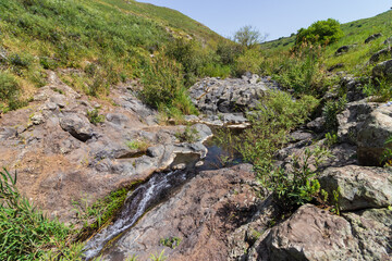 A stream of fresh water flowing into a natural pool surrounded by spring plants in Nahal Eit, Golan Heights