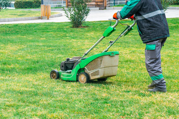 The gardener cutting grass by lawn mower