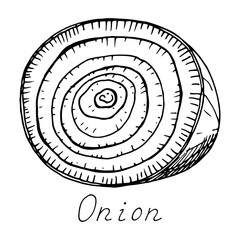 Onion. Sliced vegetable. Ink botanical vintage illustration. Isolated clipart set on white background.