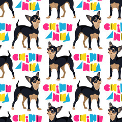 Dog breed Chihuahua seamless pattern. Vector flat illustration.