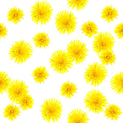 Seamless pattern of yellow dandelion flowers. Watercolor background