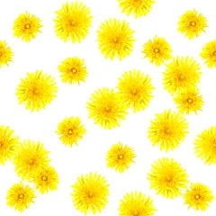  Naadloze patroon van gele paardebloem bloemen. Aquarel achtergrond © zzorik
