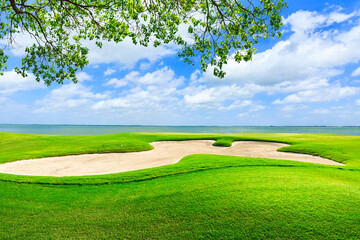 Green grass and tree on the golf course.